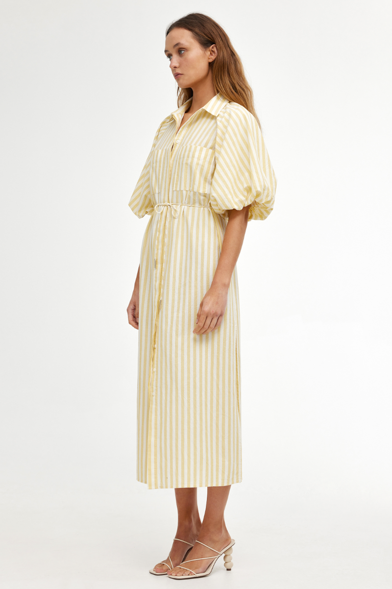 Zoya Shirt Dress - Lemon Stripe